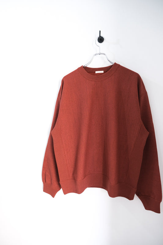 FADED SILKY TERRY RW SWEAT SHIRT 25AW