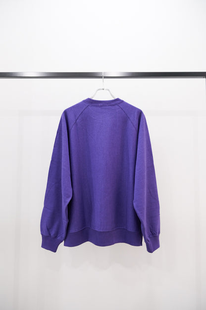 FADED SILKY TERRY RW SWEAT SHIRT