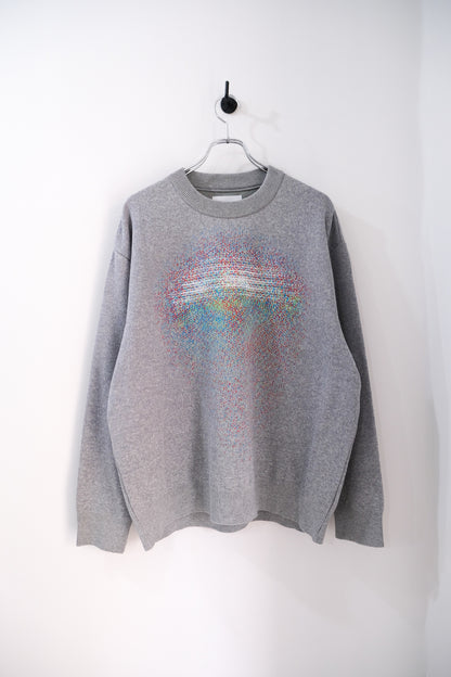 Photon Knit Sweater