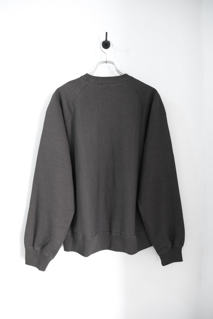FADED SILKY TERRY RW SWEAT SHIRT 25AW
